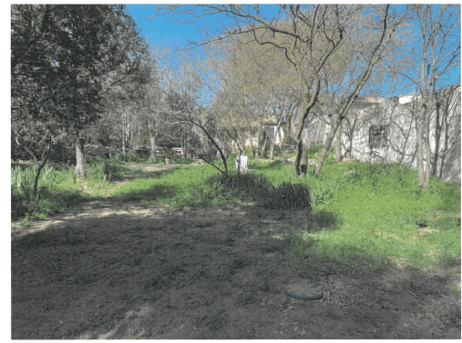 PARCELLES DE TERRE à NÎMES (SURENCHÈRE)